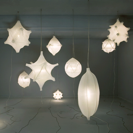 Micro-organismes fluorescents par Bernotat & Co