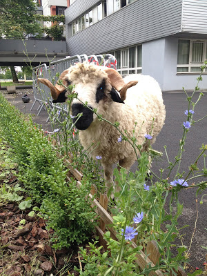 Les moutons d&rsquo;Olivier (Clinamen) à l&rsquo;université de Villetaneuse