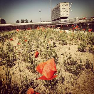 Les lieux « ordinaires » : nouvel imaginaire des visiteurs