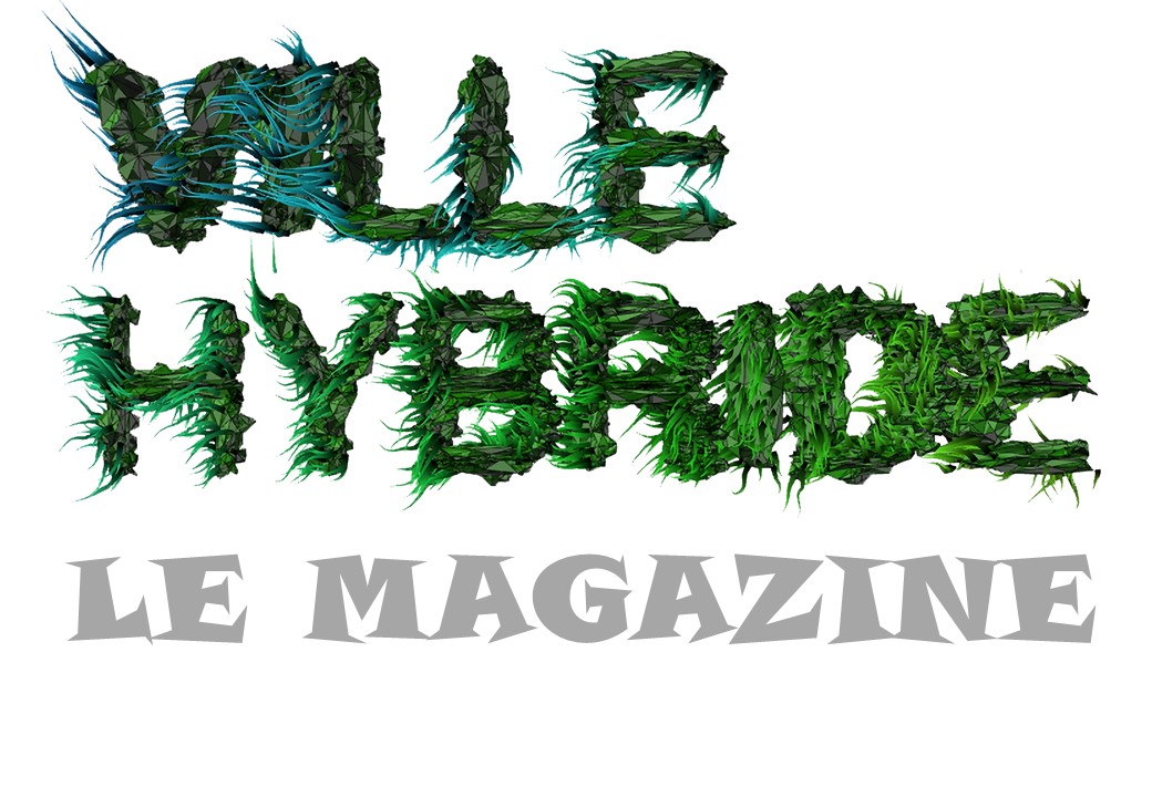20 novembre 2020 : 1ère conf de rédac&rsquo; de « Ville hybride le Magazine. le monde d&rsquo;après existe déjà ! »
