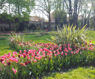 Parc de la Légion d&rsquo;Honneur, Saint Denis